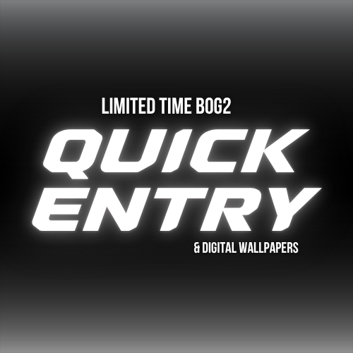 SILVER QUICK ENTRY